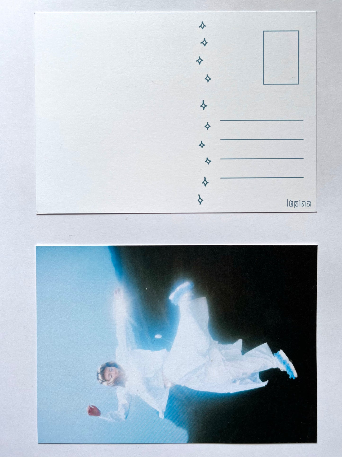 lúpína - Light in the Dark Postcards