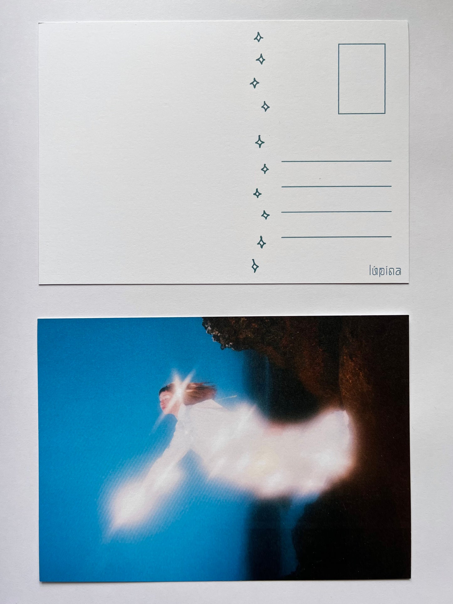 lúpína - Light in the Dark Postcards